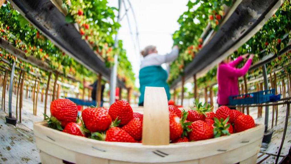 Рогатинська районна філія Івано-Франківського обласного центру зайнятості шукає працівників