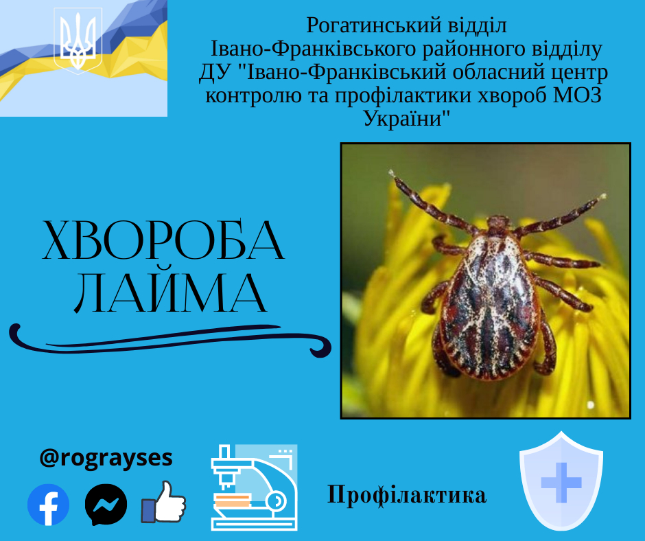 Небезпека кліщів в весняно-літній період. Хвороба Лайма