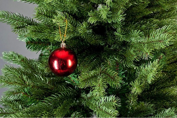 Як правильно обрати новорічну ялинку