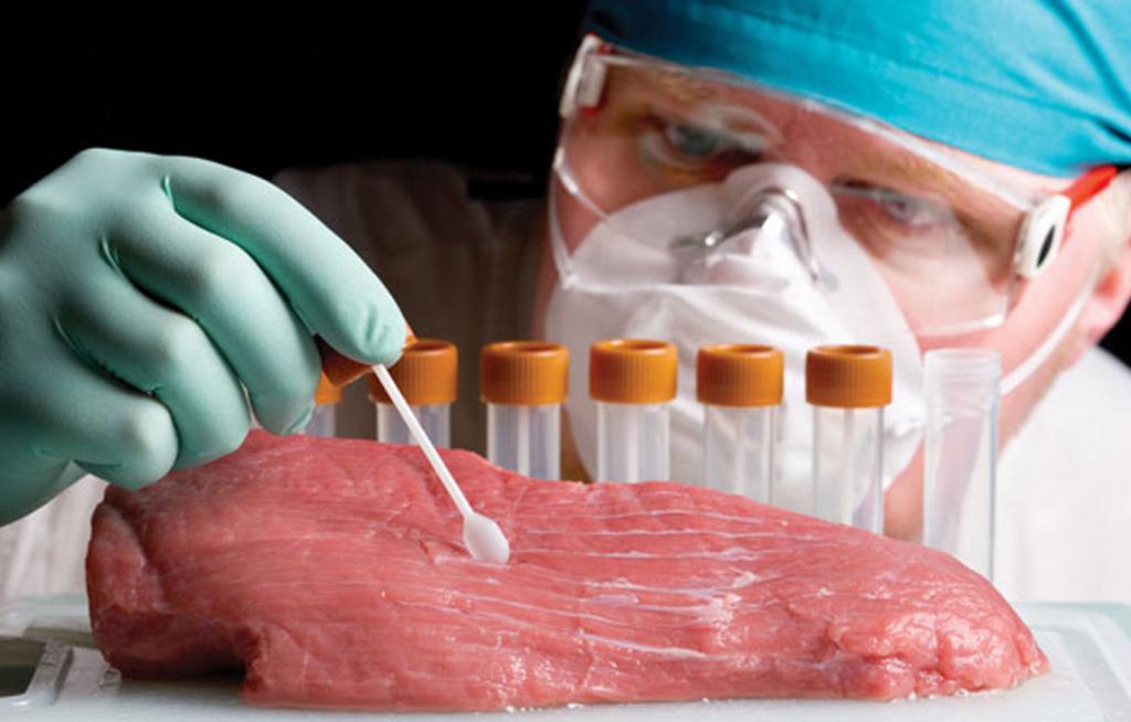 На Прикарпатті забезпечено державний контроль за дотриманням гігієнічних вимог на бійнях та потужностях з розбирання і обвалювання м’яса