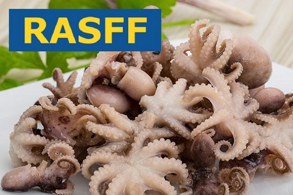 Повідомлення RASFF: кадмій у восьминогах «міні», що експортувались з Італії