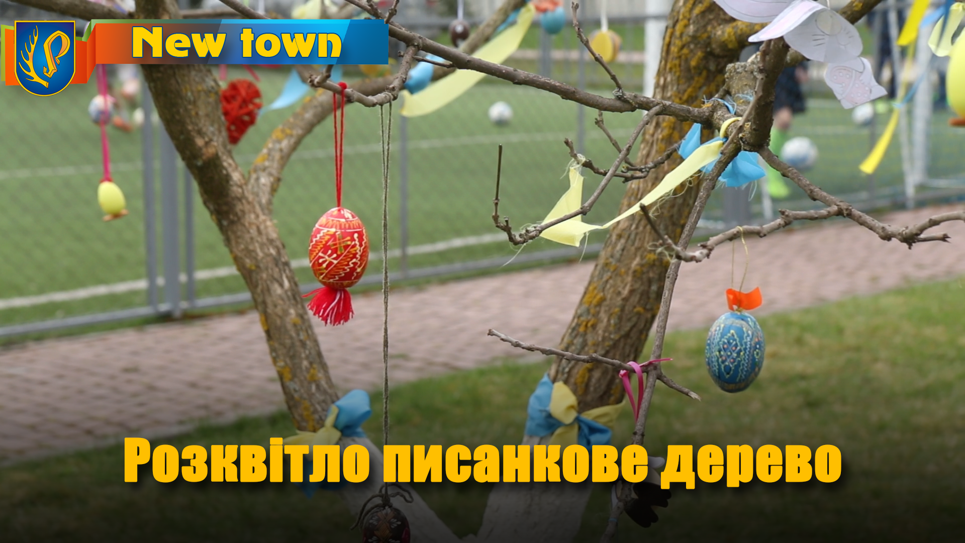 Розквітло писанкове дерево