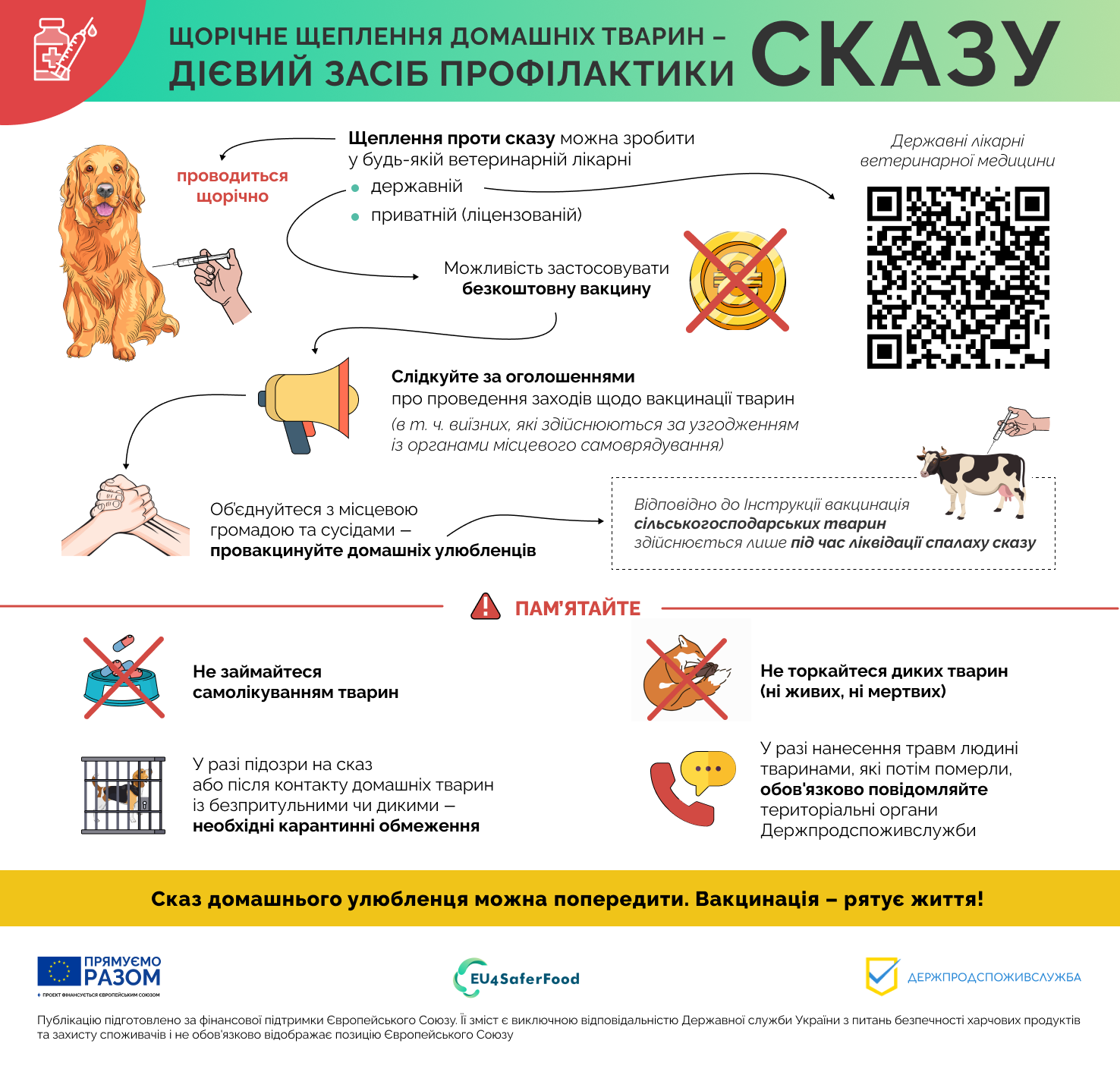 Зверніться до лікарні  ветеринарної медицини  – провакцинуйте домашніх улюбленців 