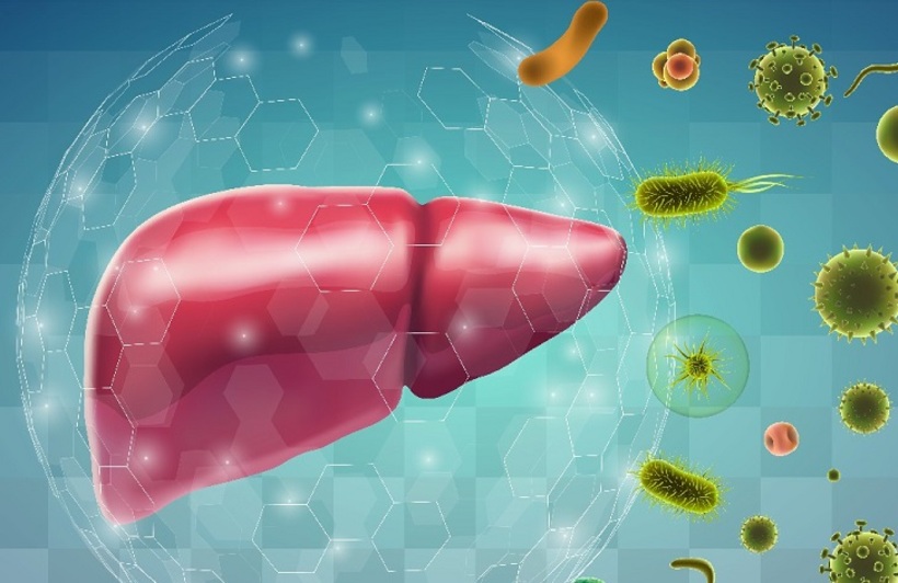  Як запобігти гепатиту А