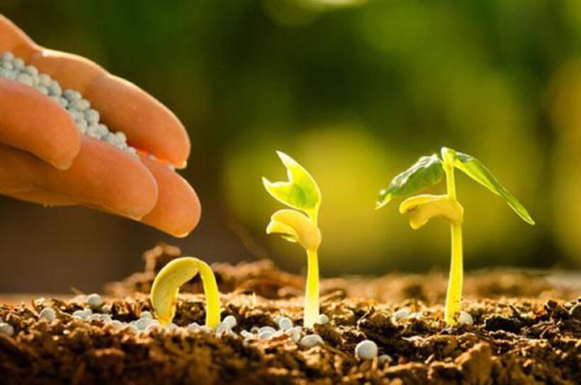 Фітосанітарна  безпека – підсумки роботи Держпродспоживслужби Прикарпаття у 2023 році  