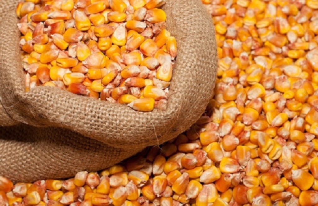  Експортери рослинної продукції зобов’язані виконувати фітосанітарні вимоги країн-імпортерів