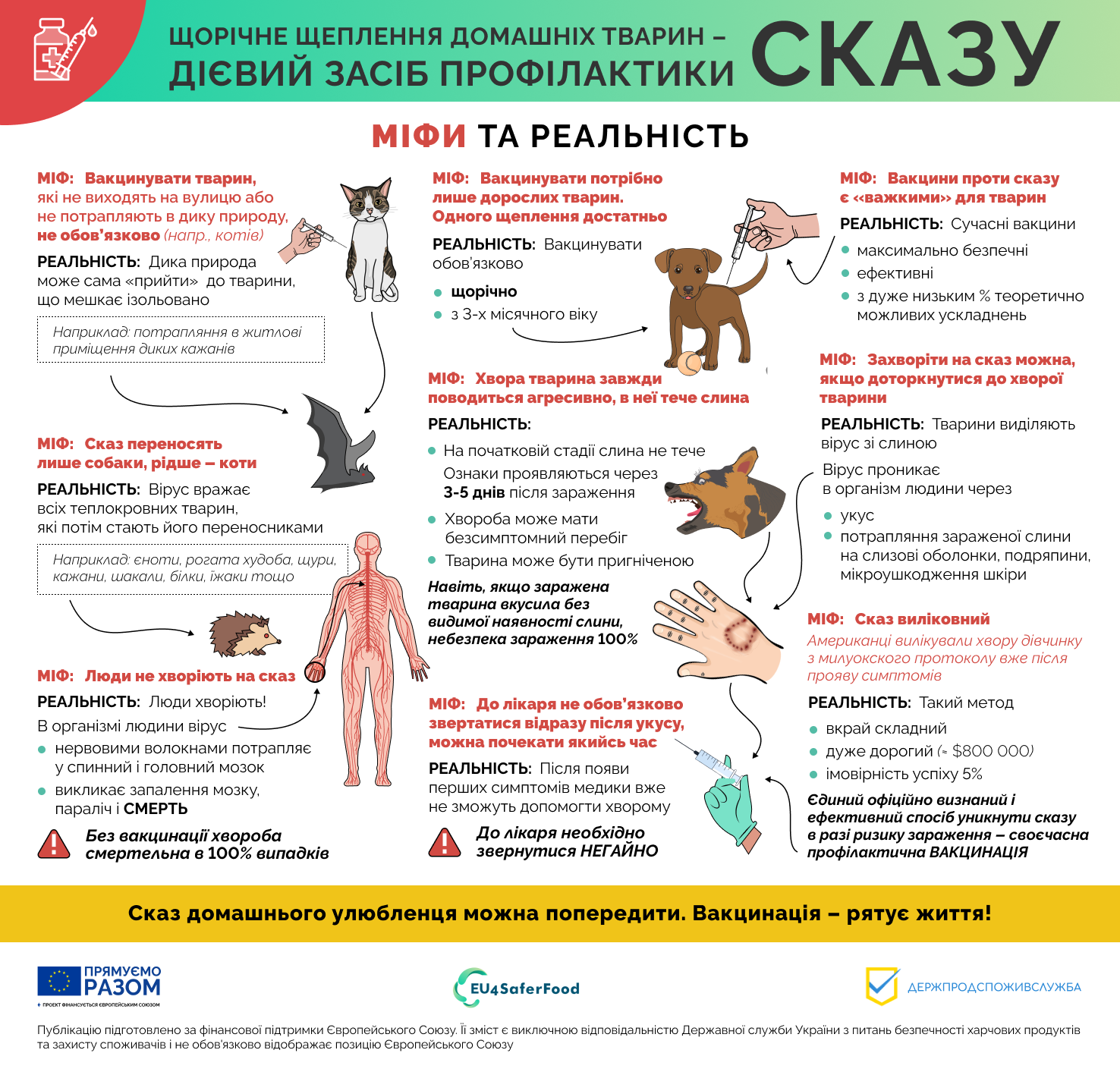 Розвінчуємо помилкові твердження про сказ
