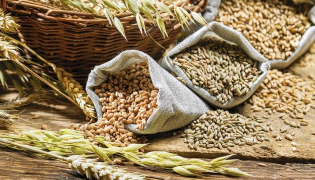 До уваги експортерів сільськогосподарської продукції: про запровадження режиму експортного забезпечення