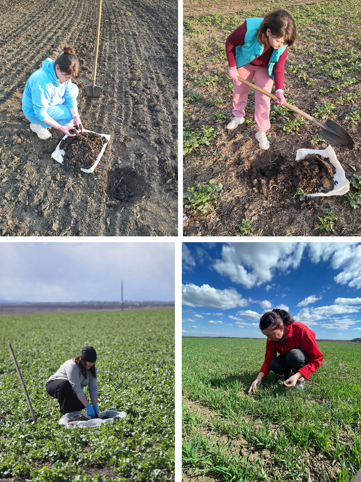 Спеціалісти управління фітосанітарної безпеки Держпродспоживслужби Івано-Франківщини провели весняні  розкопки на визначення стану перезимівлі шкідників
