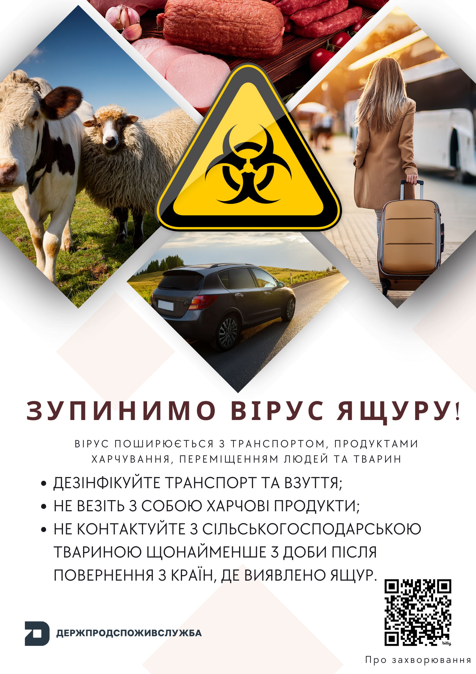 Повертаєтесь з-за кордону – будьте уважні, щоб не допустити проникнення  ящуру на територію України