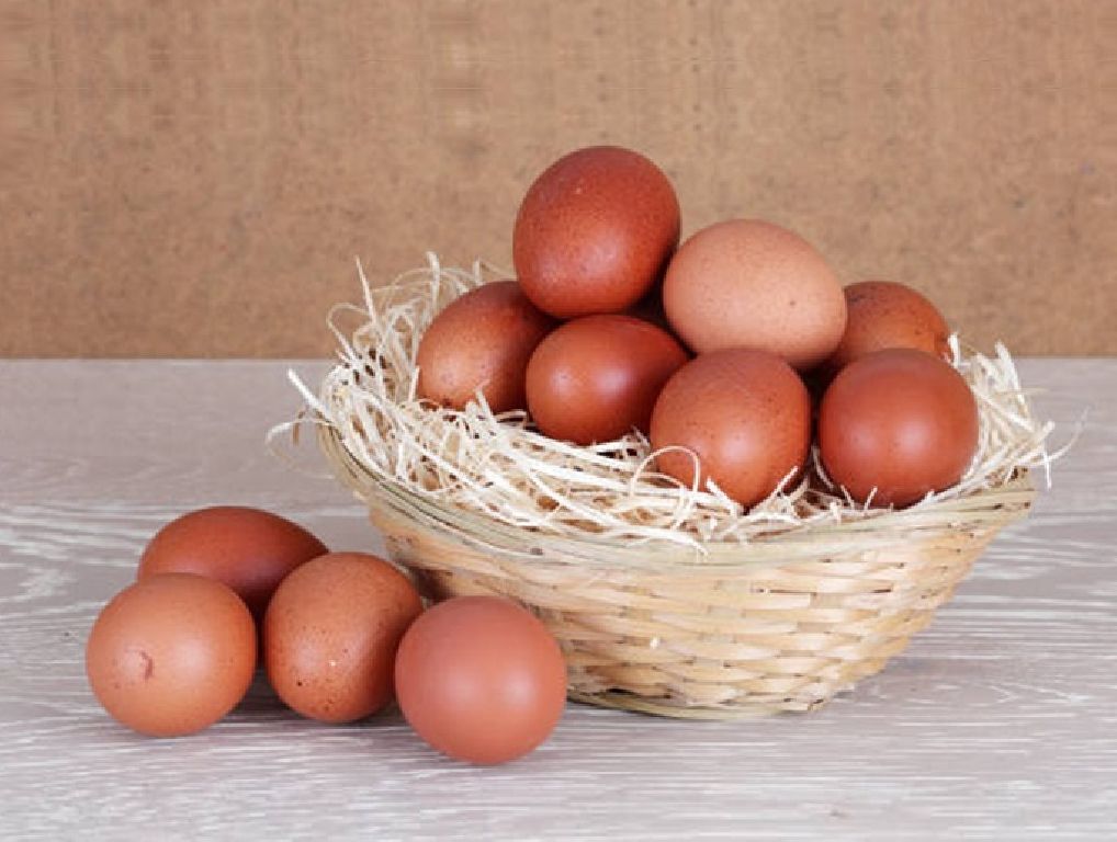 Відкрито новий ринок для українського виробника: експорт столових яєць до Канади